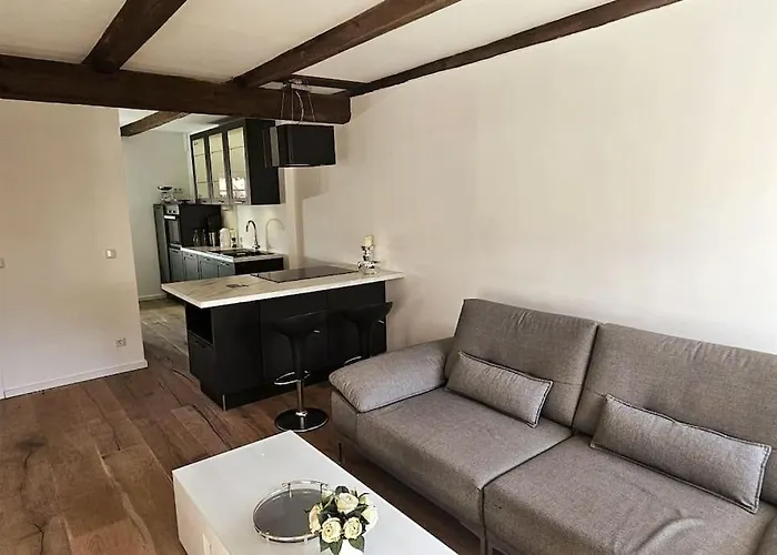 Apartament Oder Mieten Auf Zeit Munster (North Rhine-Westphalia)